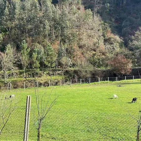 Holiday park Mortazel River