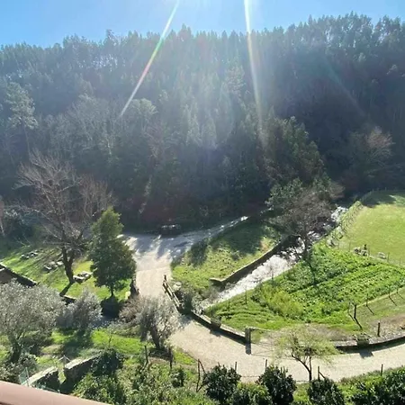 Mortazel River *